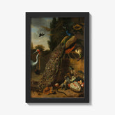 Peacocks by Melchior d' Hondecoeter - thumbnail_1_bf_6731c4f712f9211d49d3d7c2